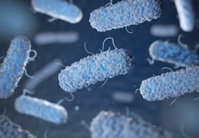 Estudo da patogenicidade da Salmonella sugere novas estratégias de controle no Brasil