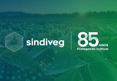 Aos 85 anos, Sindiveg contribui para a evolução da agricultura brasileira