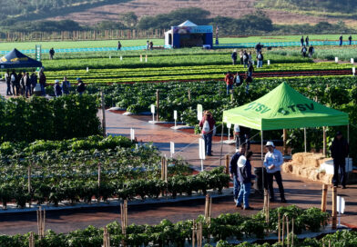 Evento que marcou gerações de produtores completa 20 anos impulsionando a horticultura brasileira