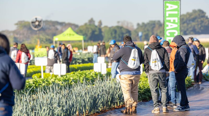 31ª Hortitec recebe nove lançamentos de alta performance da TSV Sementes