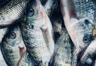 PEIXE BR manifesta preocupação com proposta dos EUA de impor nova tarifa sobre produtos brasileiros