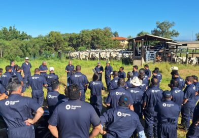 Programa conecta ciência aplicada à rotina do campo com a formação de multiplicadores de conhecimento na pecuária brasileira