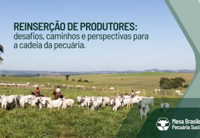 Mesa Brasileira da Pecuária Sustentável reúne representantes do setor em vídeo sobre reinserção de produtores