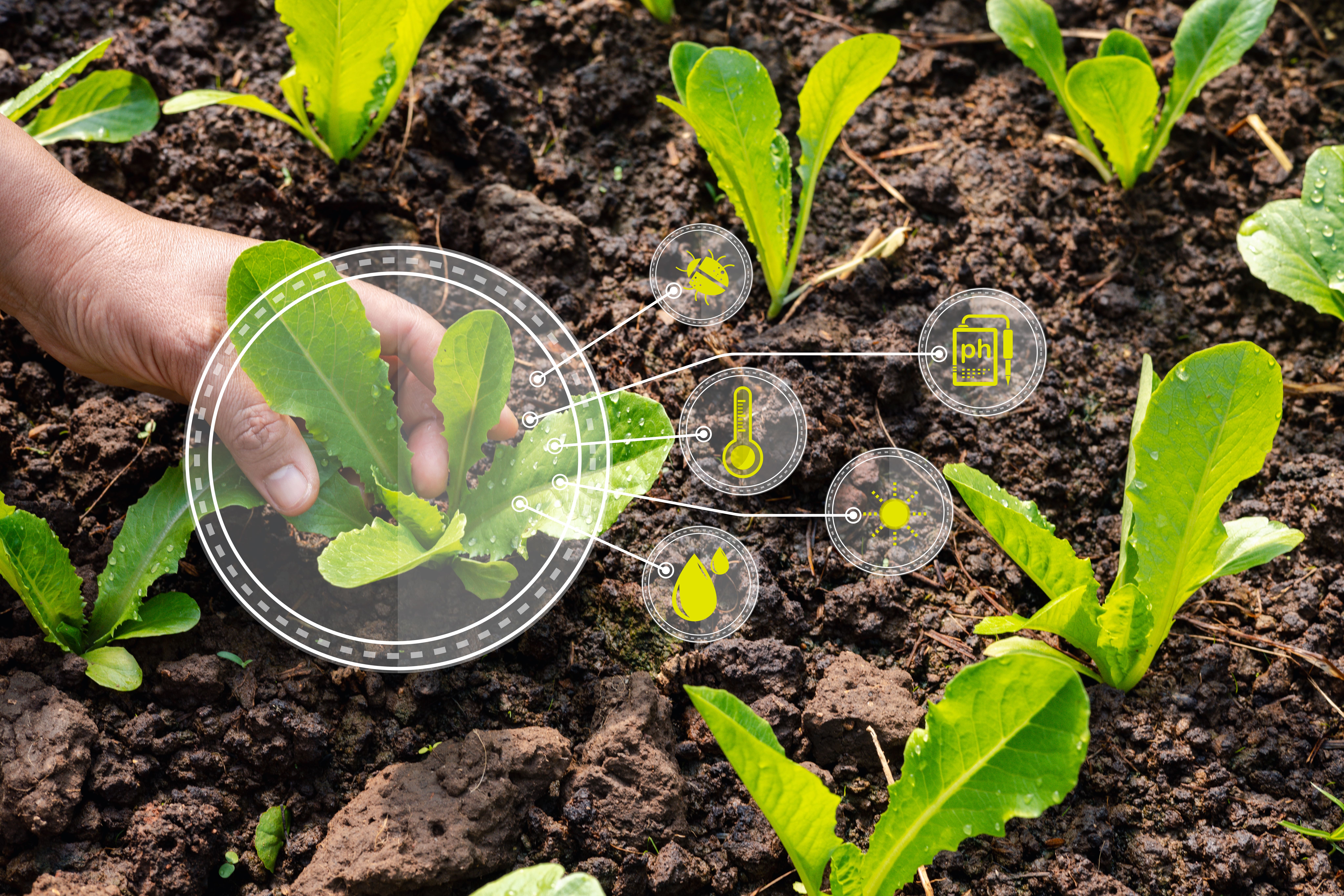 Indústria de bioinsumos busca escalabilidade e segurança jurídica para sustentar crescimento no campo