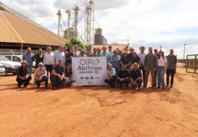 Giro Abitrigo aproxima moinhos do potencial do trigo produzido no Cerrado Mineiro
