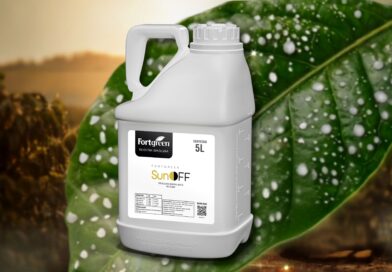 Fortgreen anuncia nova estratégia em apoio aos distribuidores frente aos desafios do mercado de crédito