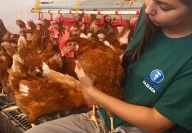 Bem-estar animal e valorização da equipe alavancam excelência na Fazenda Speranza