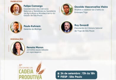 Potencial do trigo paulista é tema de painel no 11º Encontro da Cadeia Produtiva do Trigo